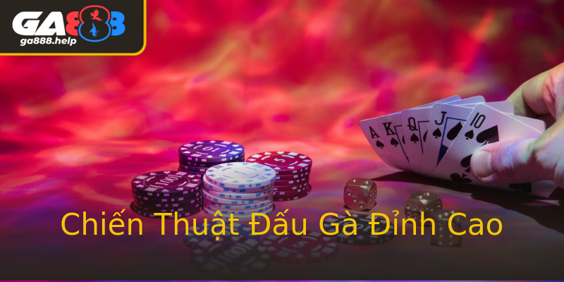 Chiến Thuật Đấu Gà Đỉnh Cao