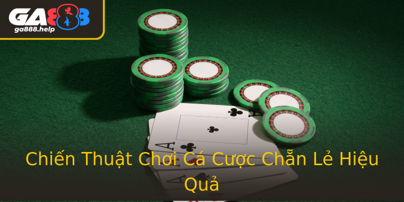 Chiến Thuật Chơi Cá Cược Chẵn Lẻ Hiệu Quả Chiến Thuật Chơi Cá Cược Chẵn Lẻ Hiệu Quả