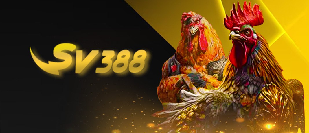 Cockfighting Sv388