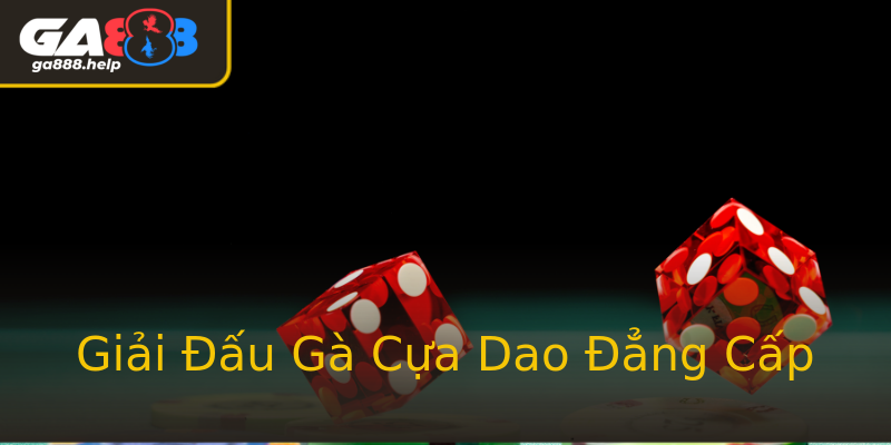 Giải Đấu Gà Cựa Dao Đẳng Cấp