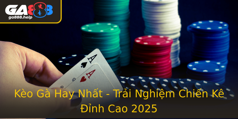 Kèo Gà Hay Nhất - Trải Nghiệm Chiến Kê Đỉnh Cao 2025