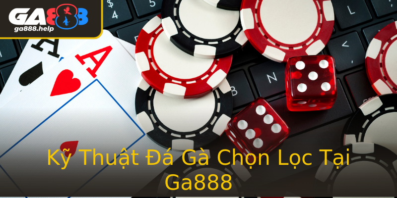 Kỹ Thuật Đá Gà Chọn Lọc Tại Ga888 Kỹ Thuật Đá Gà Chọn Lọc Tại Ga888