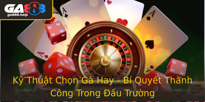 Kỹ Thuật Chọn Gà Hay - Bí Quyết Thành Công Trong Đấu Trường