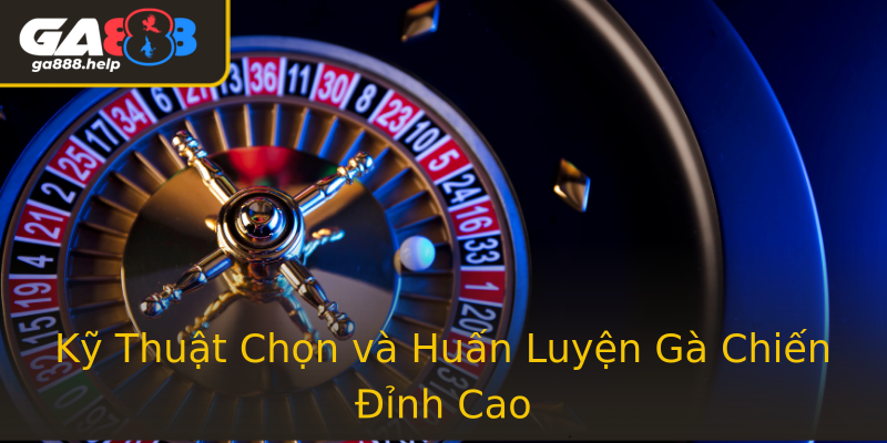 Kỹ Thuật Chọn và Huấn Luyện Gà Chiến Đỉnh Cao