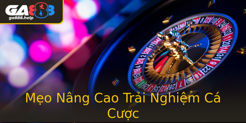 Mẹo Nâng Cao Trải Nghiệm Cá Cược Mẹo Nâng Cao Trải Nghiệm Cá Cược