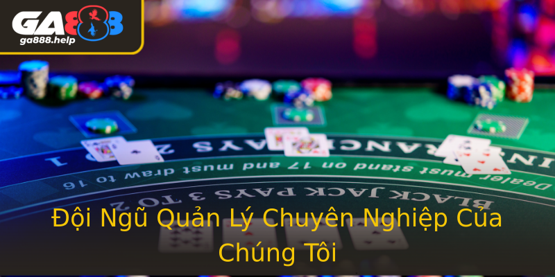 Đội Ngũ Quản Lý Chuyên Nghiệp Của Chúng Tôi Đội Ngũ Quản Lý Chuyên Nghiệp Của Chúng Tôi