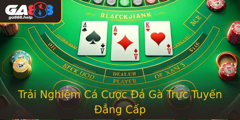 Trải Nghiệm Cá Cược Đá Gà Trực Tuyến Đẳng Cấp Trải Nghiệm Cá Cược Đá Gà Trực Tuyến Đẳng Cấp